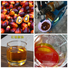 China Made New Condition Palm Kernel Oil Extraction Machine for Sale